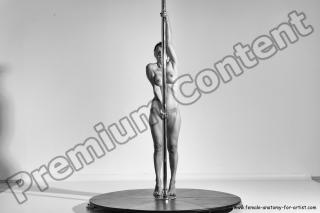 poledance reference 01 11